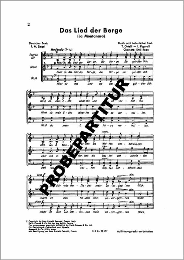 Das Lied der Berge